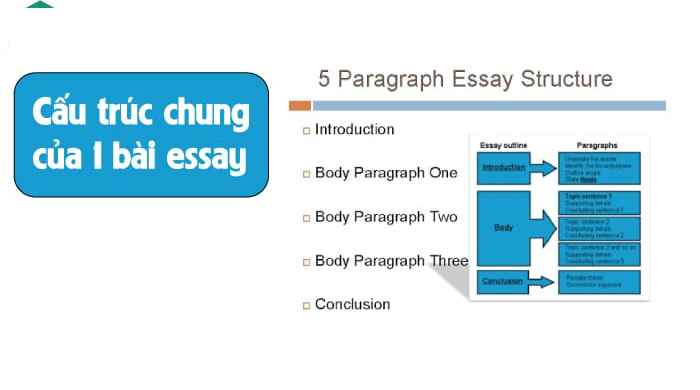 Cấu trúc câu của một bài essay như thế nào?