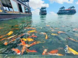 487239200 3793796770837469 1002050043709072347 N