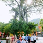 488260731 1116325563849376 4456873712343596042 N