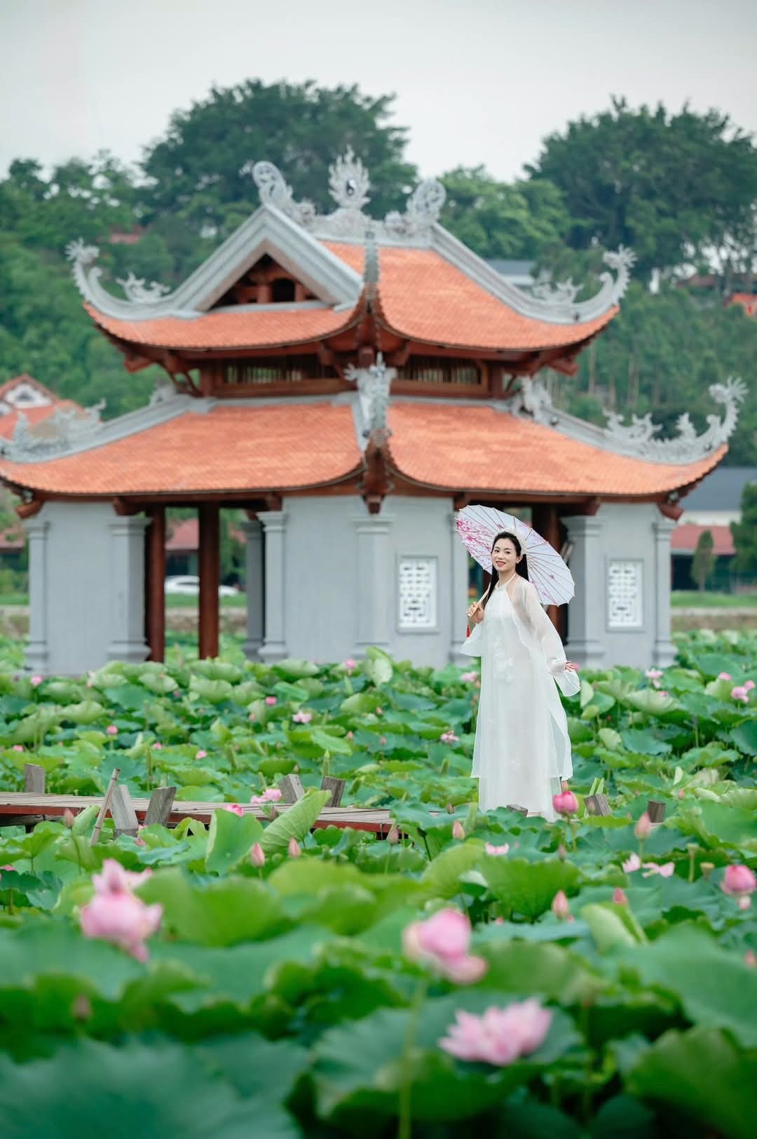 499277495 1083438647150592 4629109859729899778 N (1)