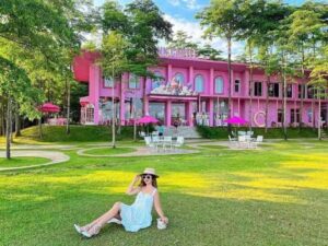 537665172 24926235973634815 9040281894080806127 N