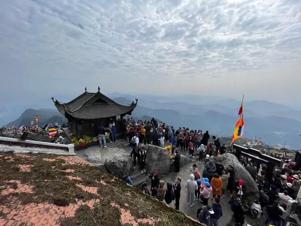 481246334 1092732682875331 1710471929206340987 N