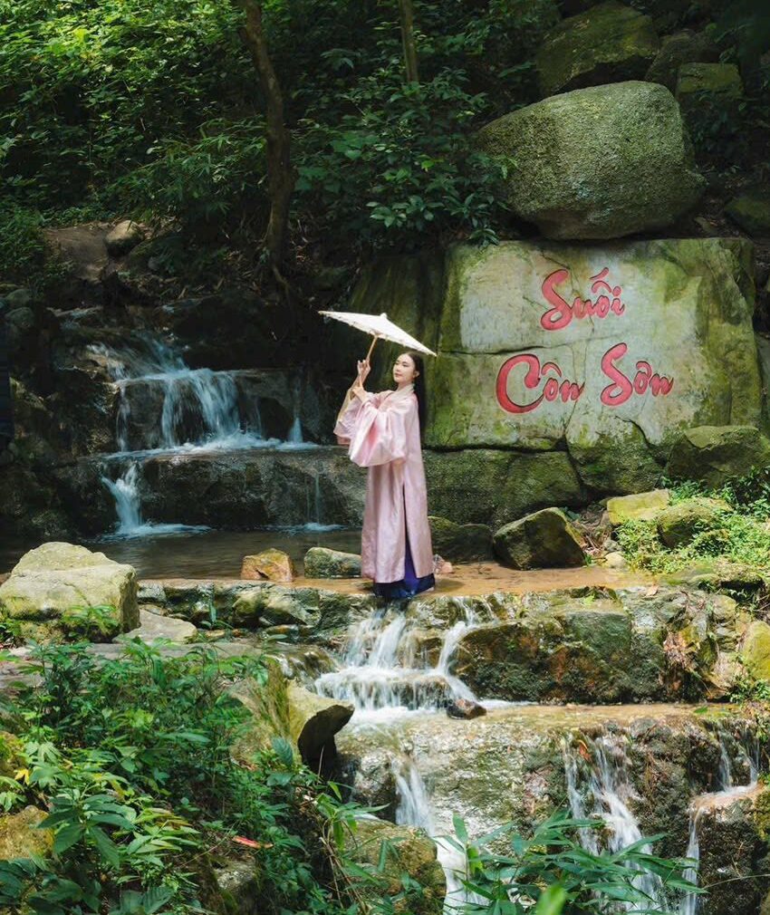 556097510 1347379090519096 6602181752416849713 N