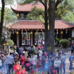 558680514 1193913942769728 444298165115570818 N