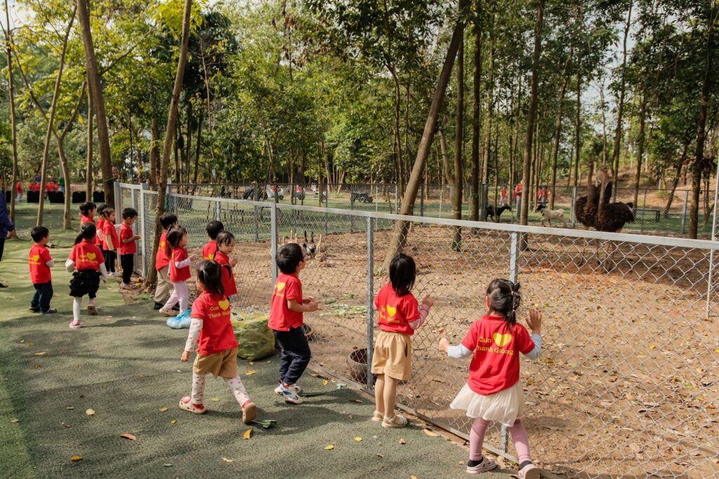 587684019 1633112778077884 7348729786665753366 N