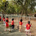 587684019 1633112778077884 7348729786665753366 N