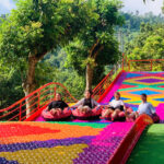 Z6871446495454 4ece64f3c5985021a1300b8025bf3bd2